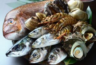 柳橋市場直送！季節のお魚